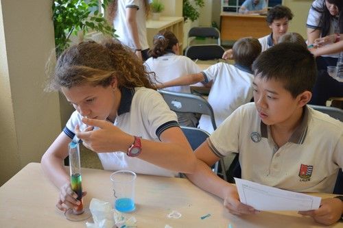 «Science Day»  Primary