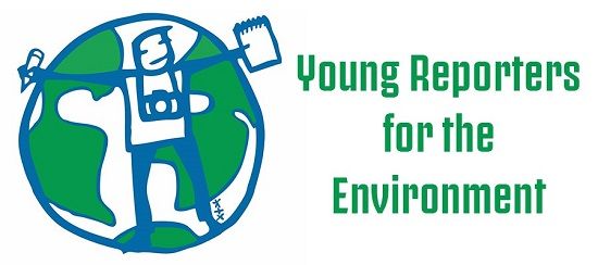 ECO SCHOOL – Concurso «Young Reporters for the environment»